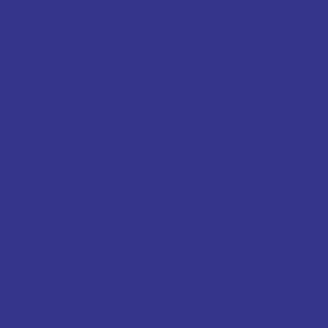 A blue between Klein blue and midnight blue. Close to lapis lazuli. For me it is a vibrant color full of promise.